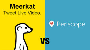 Meerkat Periscope - Mar Carrillo